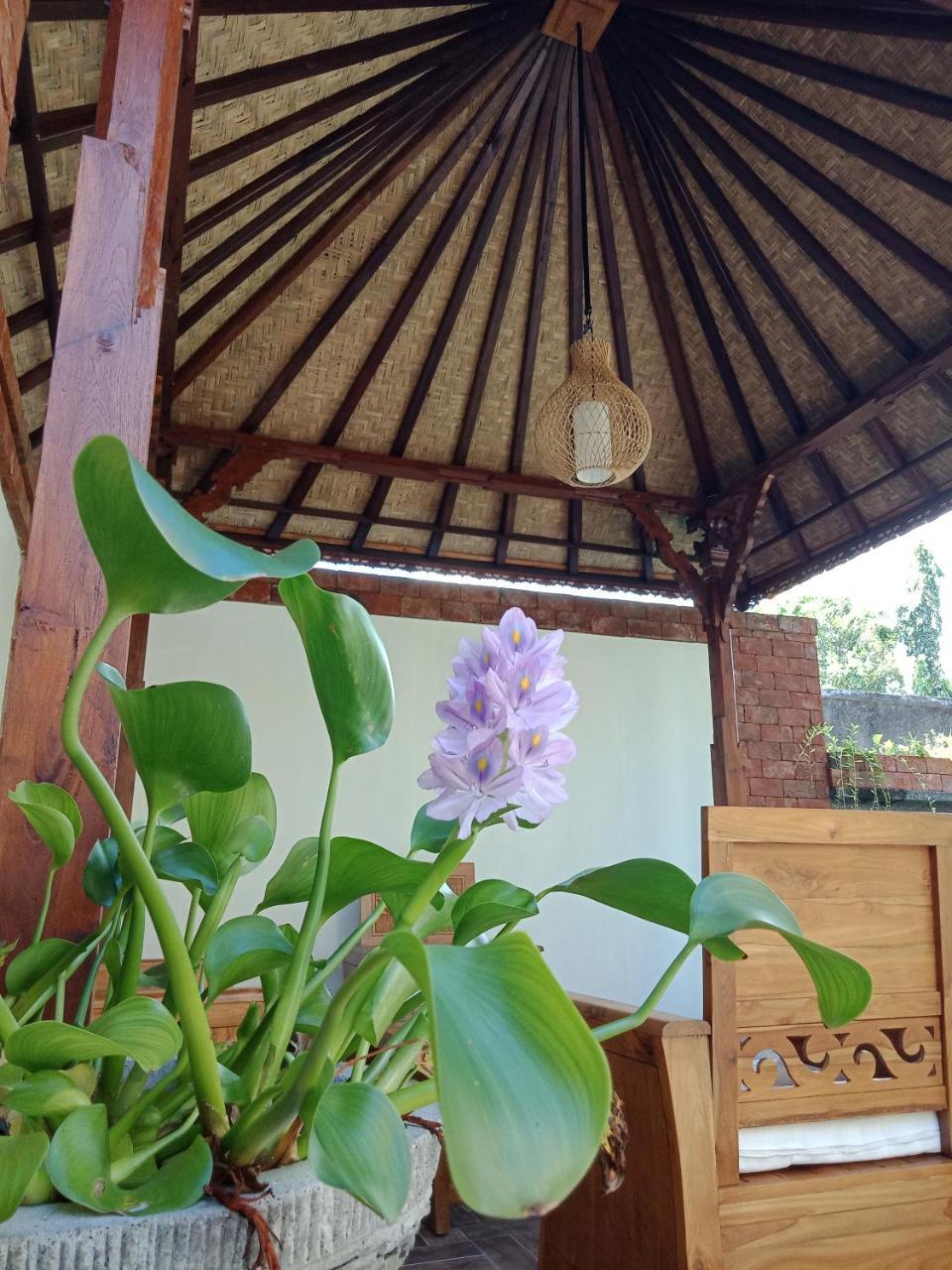 D'Puja Home Stay And Spa Νούσα Ντούα Εξωτερικό φωτογραφία